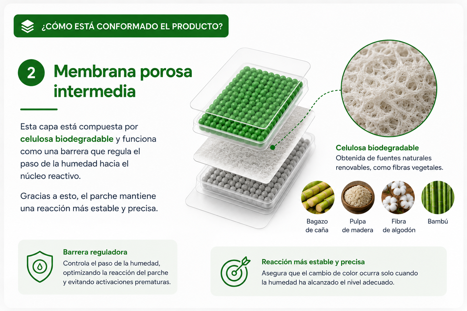 Membrana porosa